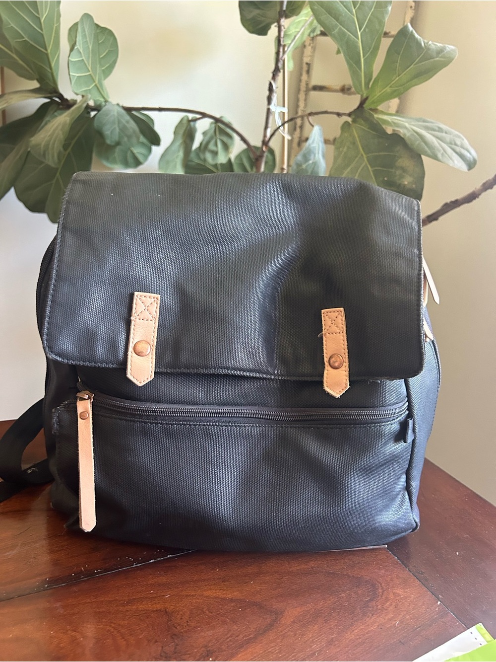 Petunia pickle bottom diaper backpack